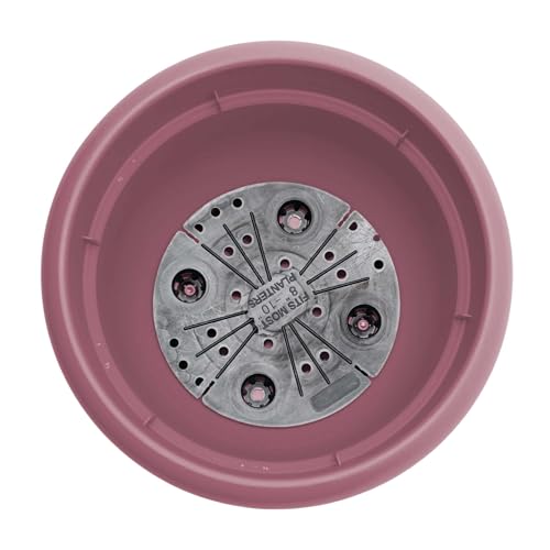 Bloem Ariana 6" Plastic Self-Watering Planter, Dusty Rose, 4-Pack - color: Dusty Rose, size: 6" (Pack of 4)