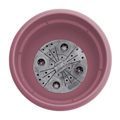 Bloem Ariana 8" Plastic Self-Watering Planter, Dusty Rose, 4-Pack - color: Dusty Rose, size: 8" (Pack of 4)