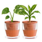 D'vine Dev Self Watering Terracotta Planter Pot, 4 in, 2-Pack, 37-Y-A-1 - color: Terracotta, size: 4 Inch