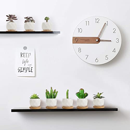 ZOUTOG 12 Pack 2.5" Square Ceramic Succulent Pots with Bamboo Tray - size: 2.5 inch
