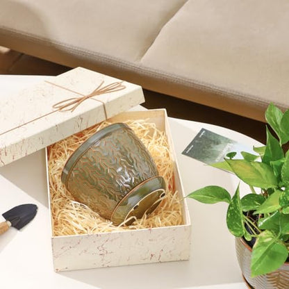Sureasy 6.5 Inch Ceramic Plant Pots Set of 2, Green Embossed - color: Green, size: 6.5 inch