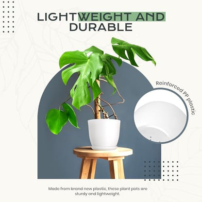 Plant Pots Indoor with Drainage, 10 Pack Multi-Size Planters Set, Grey - color: Gray, size: Pack of 10