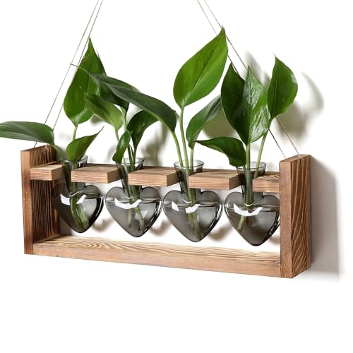 Plant Propagation Stations Heart Plant Terrarium Kit - color: Gray