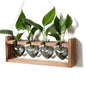 Plant Propagation Stations Heart Plant Terrarium Kit - color: Gray