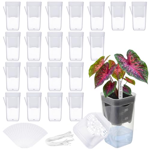 LemonRoad 20 Pack 2.5" Small Self Watering Pots for Indoor Plants - size: 2.5"
