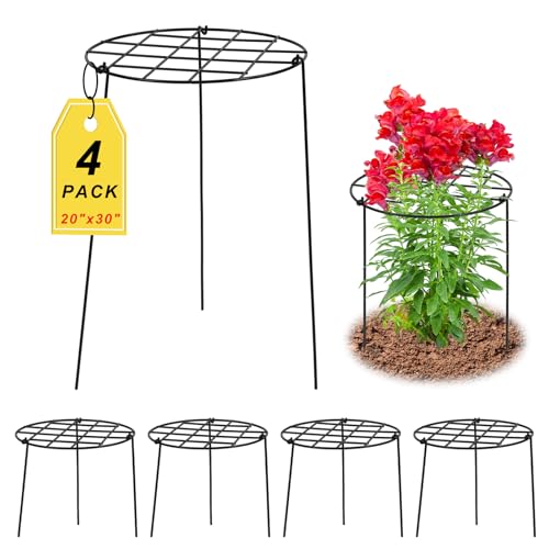 4 Pack Round Peony Cages and Supports, 20 x 30 Inches (D x H) - size: 20 x 30 Inches