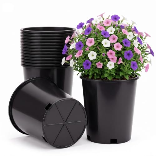 Green Oasis 5 Gallon Nursery Pots (6-Pack) - Premium Injection Molded Black Plastic Plant Pots, Heavy Duty Commercial Grade with Drainage Holes - Perfect for Vegetables, Trees & Transplanting