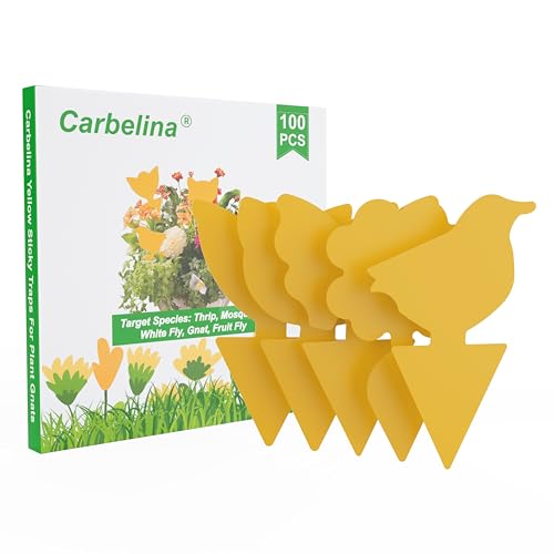 Yellow Sticky Traps for Plant Gnats, 100PCS Fungus Gnat Trap - color: Color A-100PCS