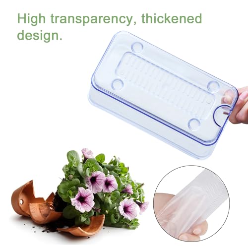 Oliz 4pk Self-Watering Windowsill Planters, Clear Plastic w/Drainage Holes