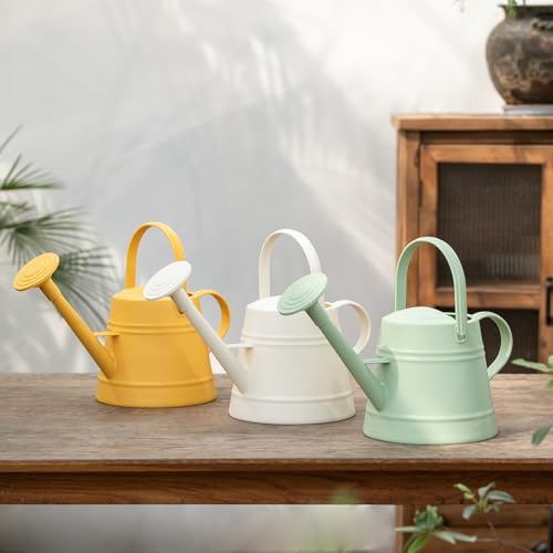 1 Gallon Watering Can for Plants - color: Green