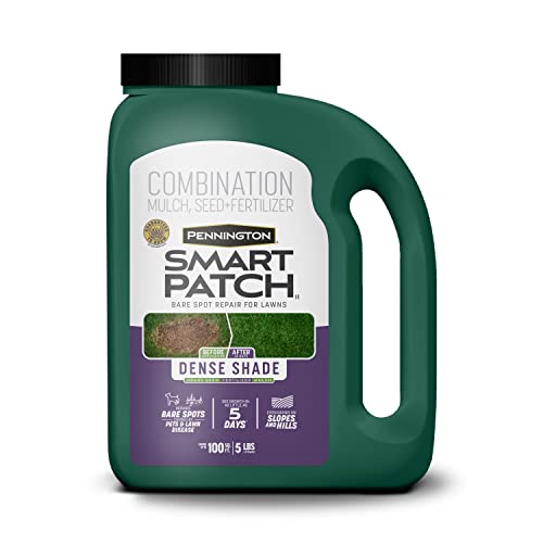 Pennington Smart Patch Dense Shade Grass Seeds for Lawn, 5 lb - size: 5 lb