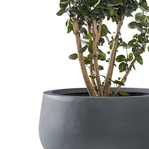 Kante Small Round Bowl Charcoal Concrete Planter 11" Dia, Outdoor - color: Charcoal, size: 11.8"w