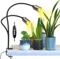 Grow Light for Indoor Plants 7500K Full Spectrum Plant Growing Lamp