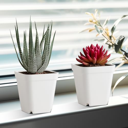 120 Pcs Nursery Pots 3.5 Inch, Plastic Seed Starting Pot with Drainage Holes, Small Sturdy Seedling pots for Planting, Cuttings (White) - color: White, size: 3.5 Inch-120P