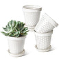 LE TAUCI Ceramic Plant Pots, 4.9 Inch Flower Pots with Drainage Hole & Saucer, Embossed Planter Pots for Indoor Plant Succulent, Orchid, Cactus, Home Decor - Set of 4, Arctic White - size: 4.9 inch