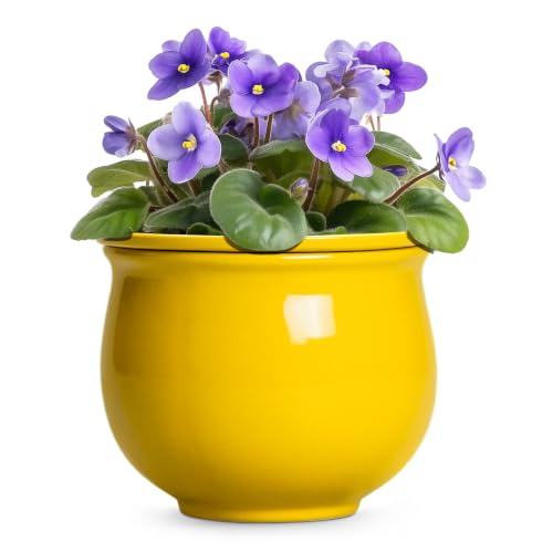 8 Inch SelfWatering Plant Pots, Ceramic Flower Pots, Yellow - color: Yellow, size: 8 Inch