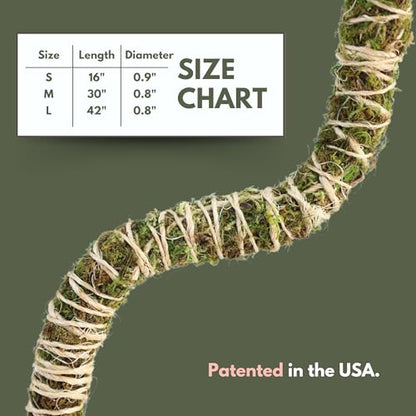 Mossify Bendable Moss Pole, 3 Pack, Assorted 16/30/42'', Forest Moss