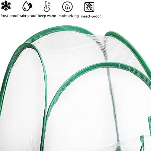 Lyellfe Pop Up Greenhouse Cover, PVC Mini Greenhouse with Nails - size: 28" x 28" x 34"