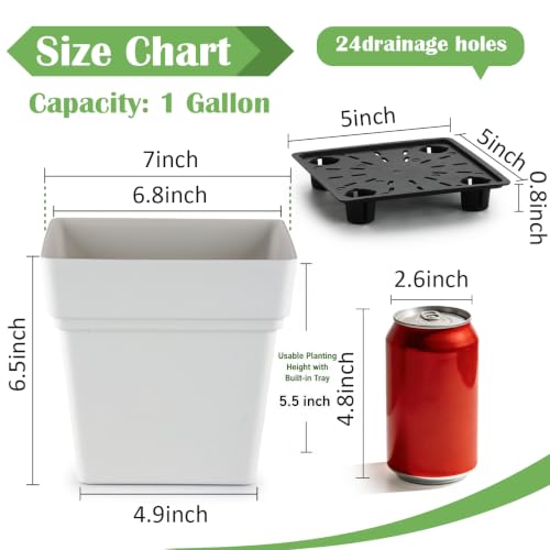 6-Pack 7 Inch Square Planters with Built-in Drainage Tray & Bottom Plug - color: White