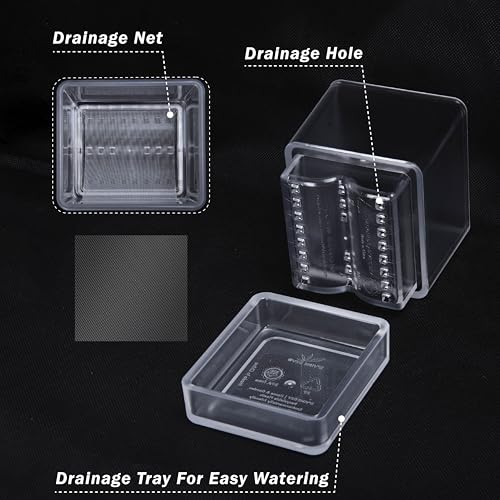 D'vine Dev 4-Pack Acrylic Herb Planter Pots, 4 in, Clear, 76-Y-D-1 - color: Clear, size: 16 Inch x 4.5 Inch