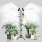 Grow Light for Indoor Plants Growing,Floor Lamp Free Standing