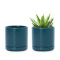 D'vine Dev 2-Pack Ceramic Pots with Saucers, Teal, 3.5 in, 94-V-A-9 - color: Teal, size: 3.5 Inch