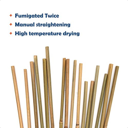 COLOtime Bamboo Stakes 6FT Garden Stakes Plant Poles for Outdoor 20 Pack - size: 6ft, 20 Pack