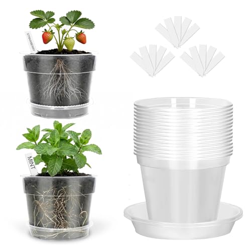 Amasiver 6 Inch Clear Nursery Pots for Plants,Transparent Plant Pots with Drainage Holes & Saucers,Seed Starter Pots with 15 Plant Labels,Clear Plastic Flower Pots for Indoor Outdoor - size: 6 Inch