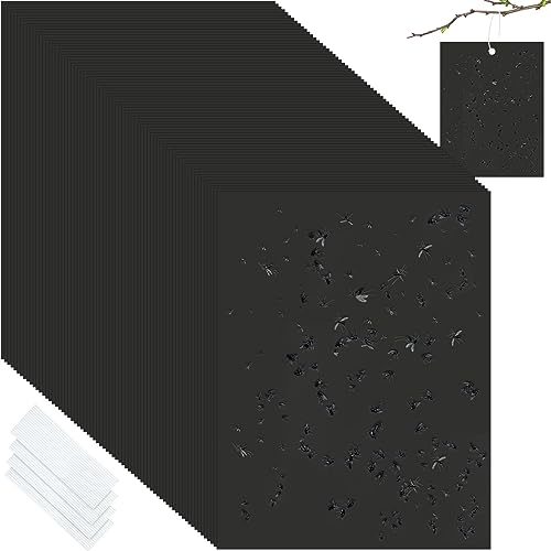 Qualirey 100 Pcs 6x8 Inch Black Sticky Traps for Gnats - color: Black