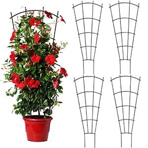 Mklsit 43" Tall Metal Plant Trellis for Climbing Plants Support, 4 Pack - size: 43" Fan Shape