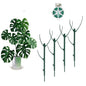 4 Pack Stackable Monstera Plant Support Stakes, 29inch Climbing Plant Sticks Structures with Garden Ties, Durable Alternative to Moss Pole for Indoor Outdoor Plants - size: 4 Pack