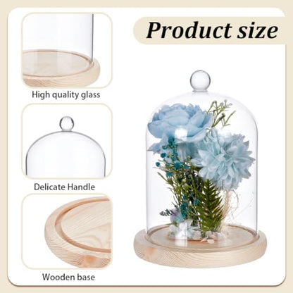 2 Pcs Round Glass Cloche Dome, Clear Decorative Tabletop Display Case with Wood Base and Globe Handle, for Fairy Lights Figurine Ornaments Plants Display Home Decor