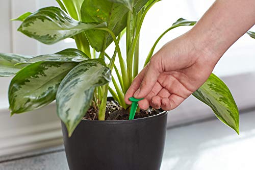 Miracle-Gro Indoor Plant Food Spikes, 48 Spikes (2-Pack) - size: 2 Pack, style: 48 Spikes