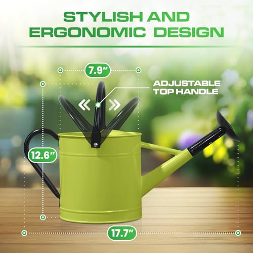 Plexon Metal Watering Can Outdoor 1 Gallon, Flower Plant Gardening Garden Large Green Watering Can Pot, Galvanized Steel Handles - Removable Spray Spout, Green - color: Green