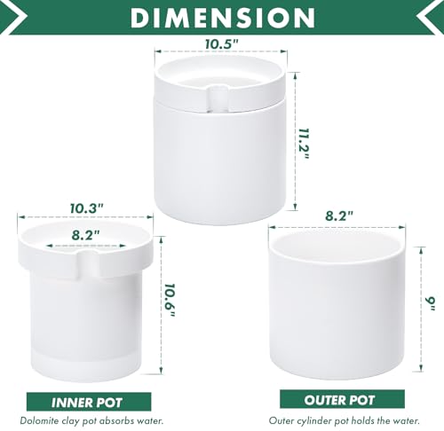 Phoenix Vine 10 Inch Cylinder Self Watering Planter, White Glazed Outer Plant Pot with Dolomite Clay Inner Planter for Indoor Plants, White, 31-A-I-W - color: White