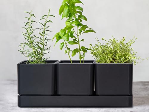 D'vine Dev Plastic Herb Garden Planter Set, Black, 76-V-B-1 - color: Black, size: 12"