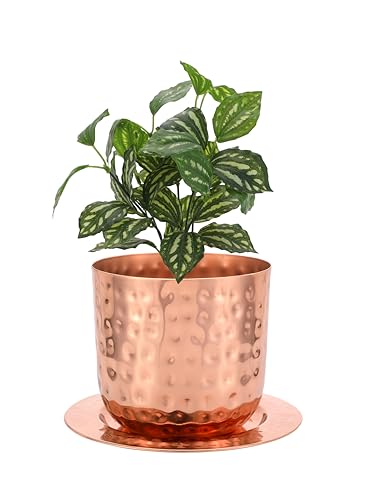 Indoor Watering Can and Planter with Plate.