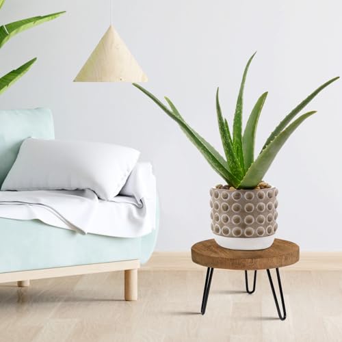 OBTAIN Plant Stand Indoor Outdoor, Wooden plant Stool, Mid Century Plant Stand for Indoor Plants, Wood Modern Plant Holder Rattan Flower, Low Short Boho Rustic Planter Stand Fit 5-15 Inch Pot(M) - size: Medium