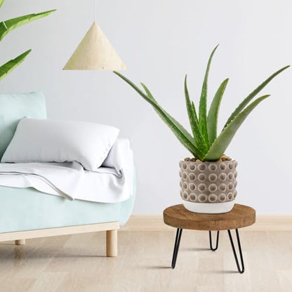 OBTAIN Plant Stand Indoor Outdoor, Wooden plant Stool, Mid Century Plant Stand for Indoor Plants, Wood Modern Plant Holder Rattan Flower, Low Short Boho Rustic Planter Stand Fit 5-15 Inch Pot(M) - size: Medium