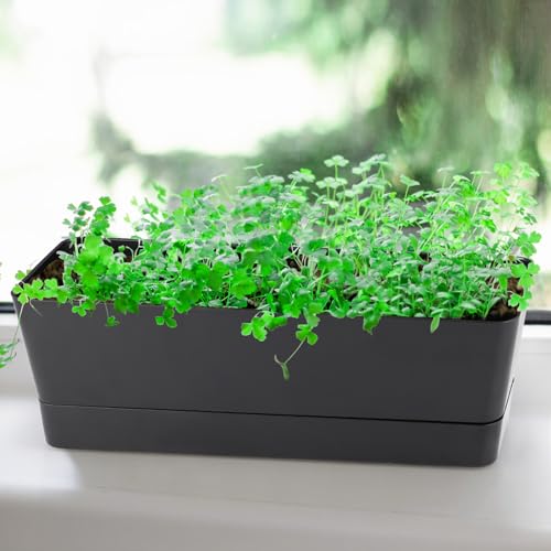Window Box Planter with Tray, 12" Rectangle Plant Pot, Pack of 3 (Black) - color: Black
