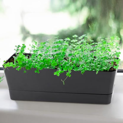 Window Box Planter with Tray, 12" Rectangle Plant Pot, Pack of 3 (Black) - color: Black