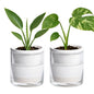 D'vine Dev Self-Watering White Terracotta Planter, 4 in, 2-Pack, 37-Y-A-2 - color: White, size: 4 Inch