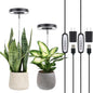 LORDEM Plant Grow Light, Full Spectrum LED, Black, 2 Packs - color: Black-3.54in, size: 2 Pack