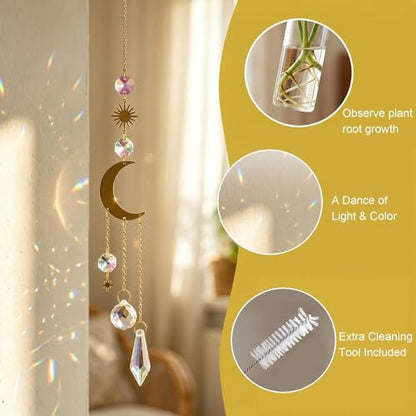 6Pcs Crystal Suncatchers with Propagation Stations Glass Wall Planters - color: Golden-6pcs