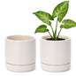 D'vine Dev 2-Pack Ceramic Pots with Saucers, Oatmeal, 4.7 in, 94-V-B-8 - color: Oatmeal, size: 4.7 Inch