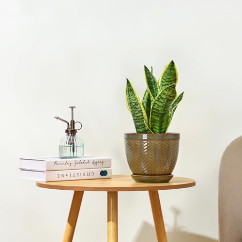 Sureasy 6.5 Inch Ceramic Plant Pots Set of 2, Green Embossed - color: Green, size: 6.5 inch