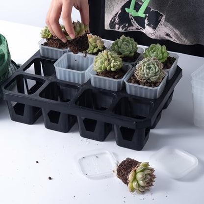 30Pcs 3 Inch Clear Nursery Pots with Saucers, Square Plastic Plant Pot - color: Transparent 02
