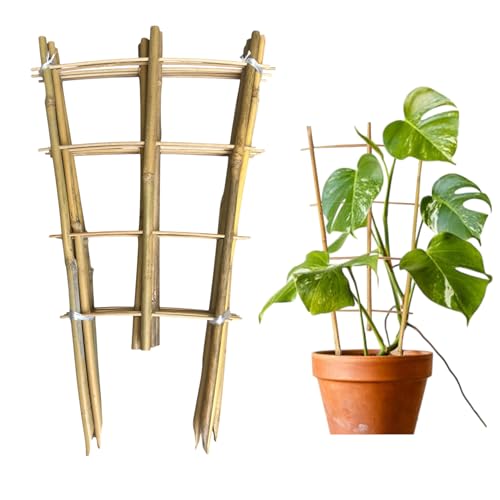Natural Bamboo Trellis 16inch for Climbing Plants 6 Pack - Plant Ladder Trellis with Garden Ties, Outdoor Decorative Plant Support Stakes for Vines Flowers Vegetables (Fan-Shape) - size: Fan-Shape