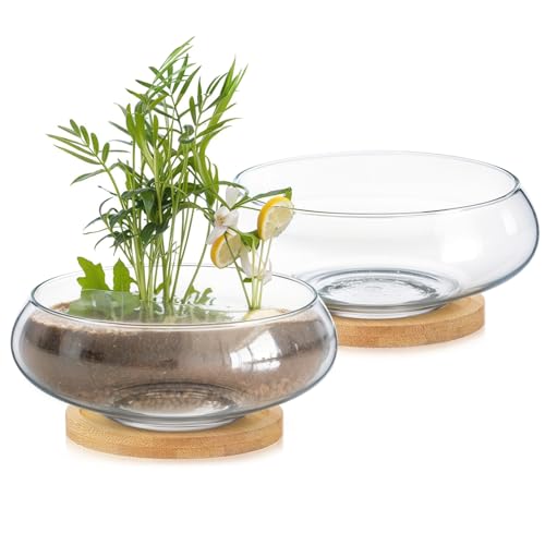 Baderke 2 Sets Lotus Bowl Planter Glass Lotus Flower Bowl with Tray
