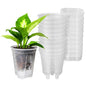 GREENPARA 5 Inch Clear Self Watering Planter, Plant Pot with Reservoir
